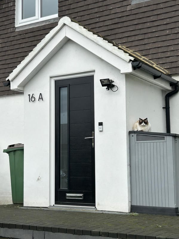 Lewes new build