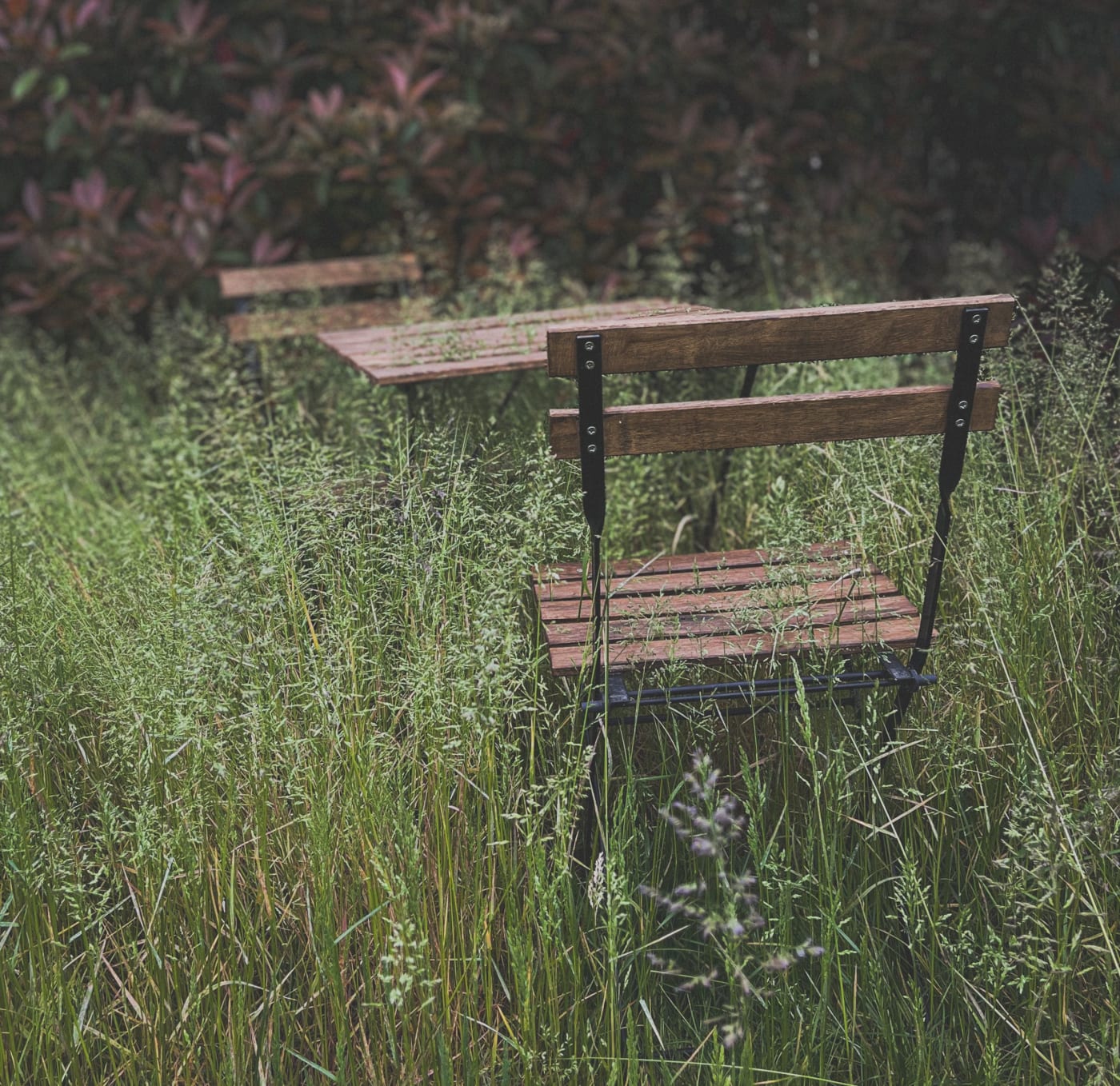 End of Tenancy Garden Clearance in Leeds: A Guide for Landlords