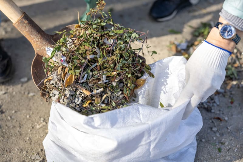 Green Waste Removal