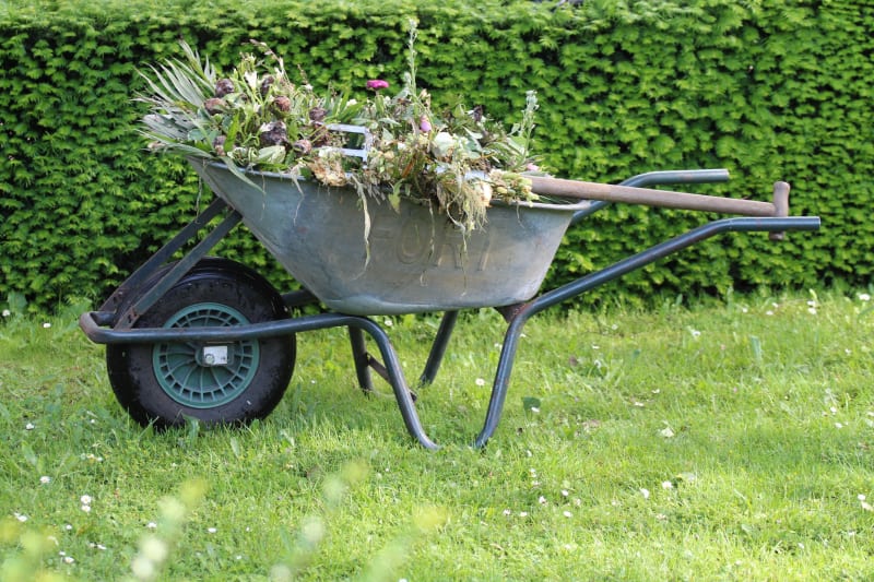 Garden Clearance