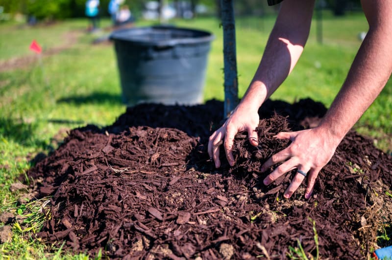 Mulching & Soil Turning