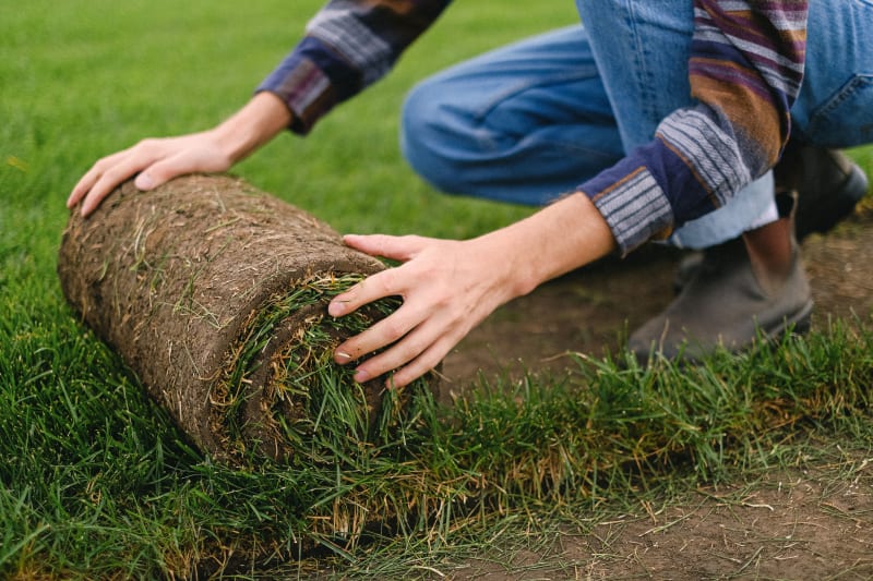 Turf Laying