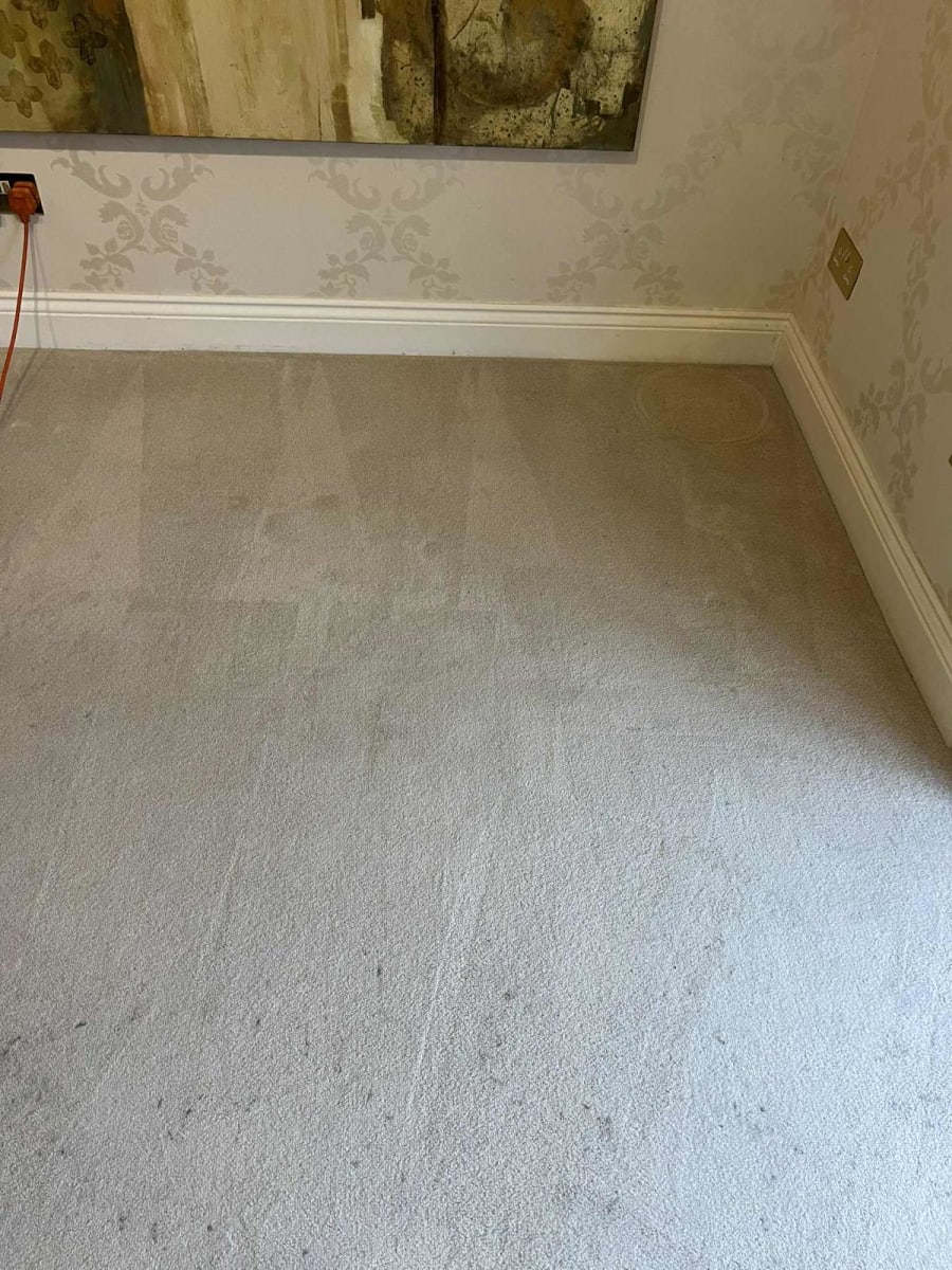 Professional cleaning result, Manchester
