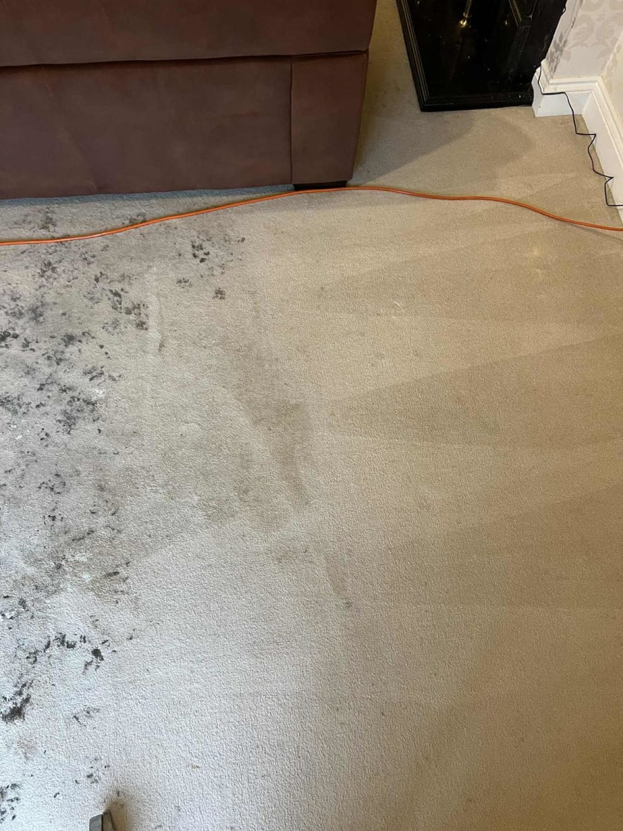 Professional cleaning result, Manchester
