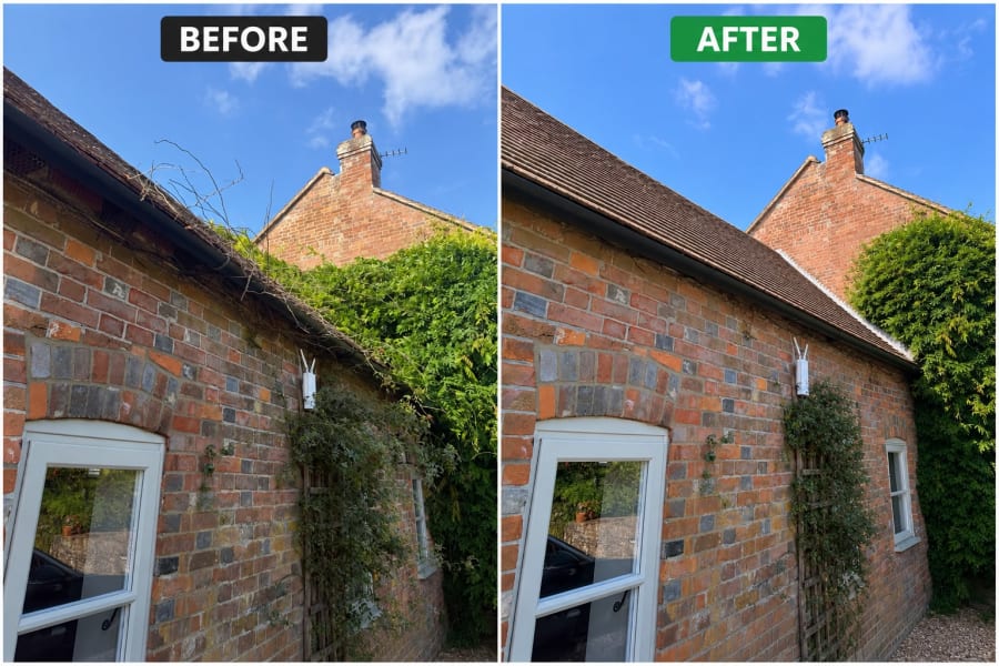 Garden Clearance in East Sussex — Before & After