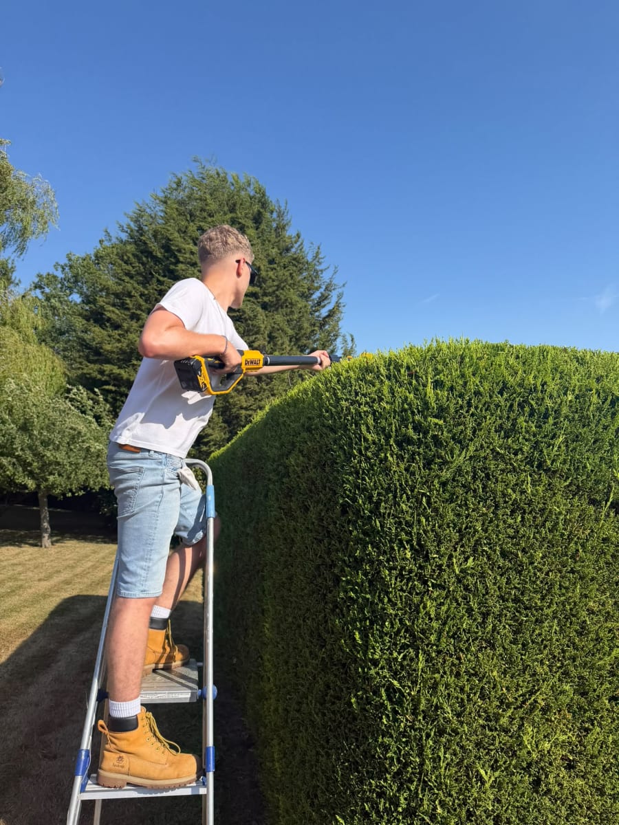 Hedge Trimming & Shaping in Mayfield — Hedge Trimming