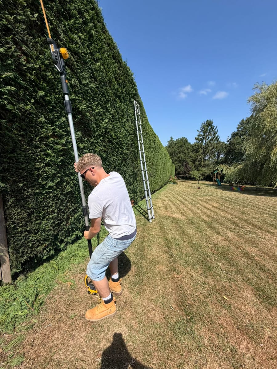 Hedge Trimming & Shaping in Mayfield — Hedge Trimming