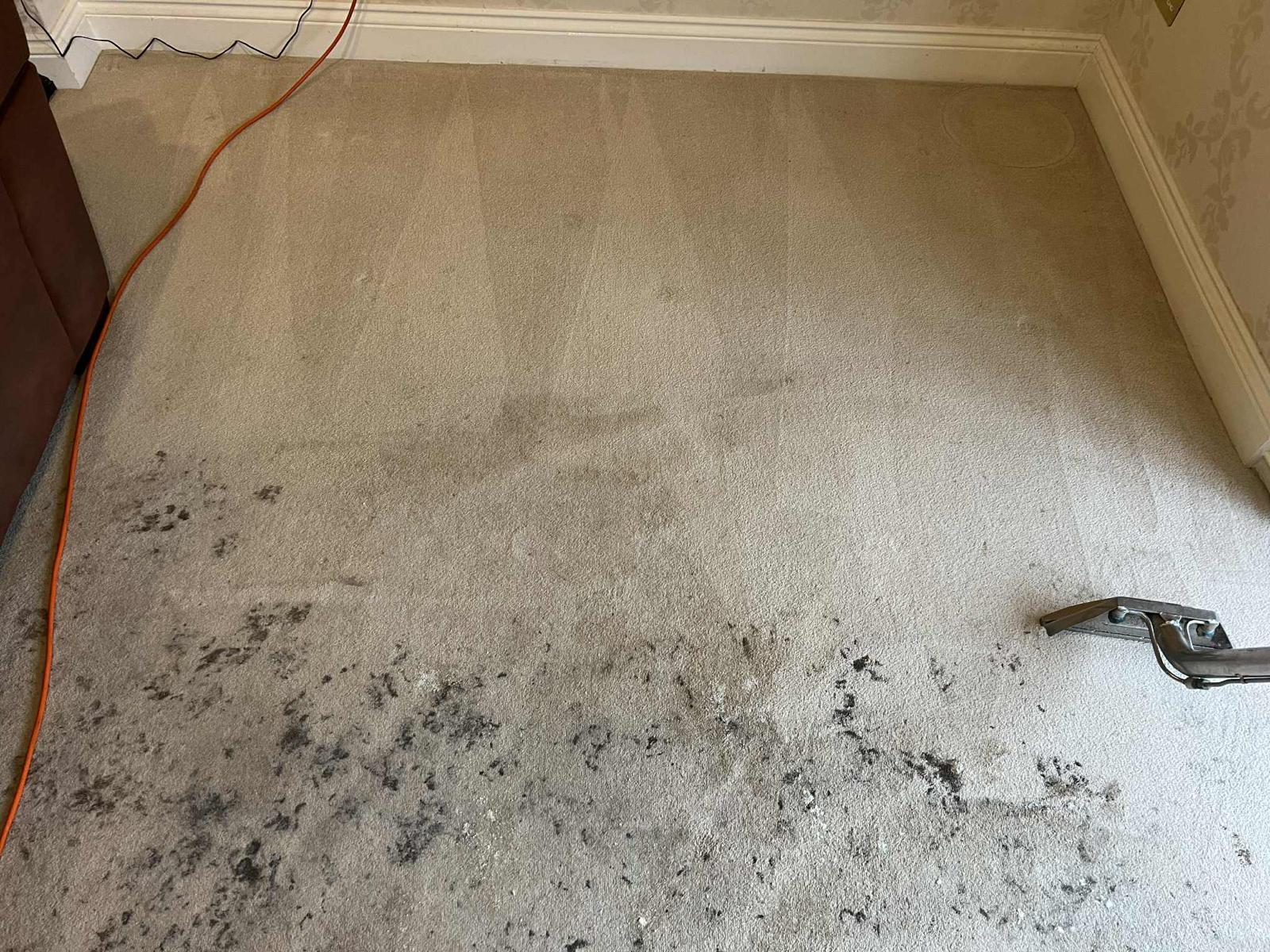 Deep Cleaning vs Regular Cleaning: What's the Difference and When Do You Need It?
