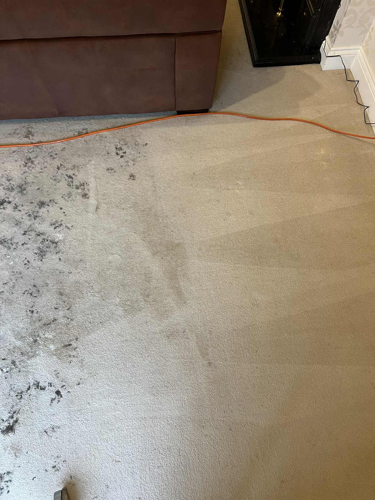 End of Tenancy Cleaning in Manchester: What Landlords and Tenants Need to Know