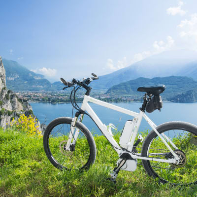 Business Management Screenshots