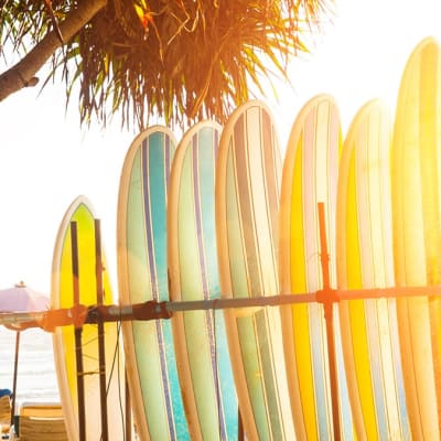 Startup Essentials Screenshots