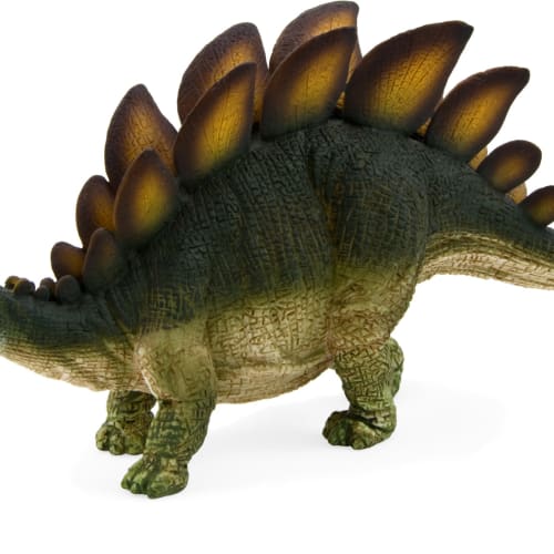 Stegosaurus