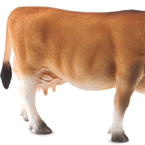 Jersey Ko
