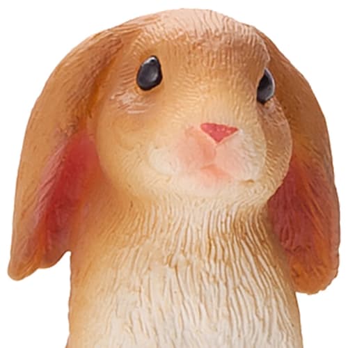 Hare, Siddende