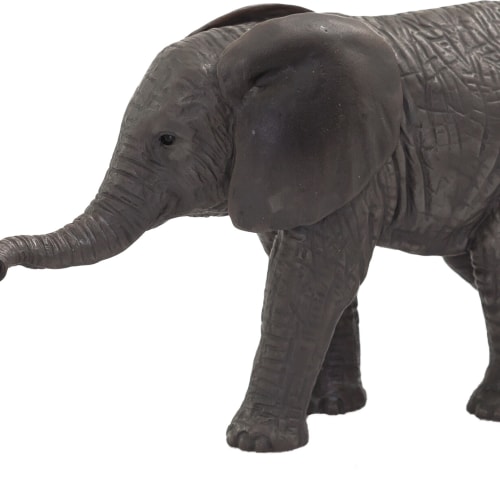 Afrikansk Baby Elefant