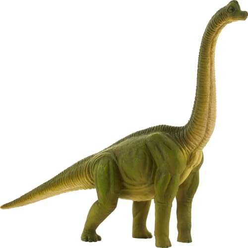 Brachiosaurus