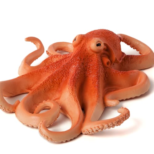 Blæksprutte