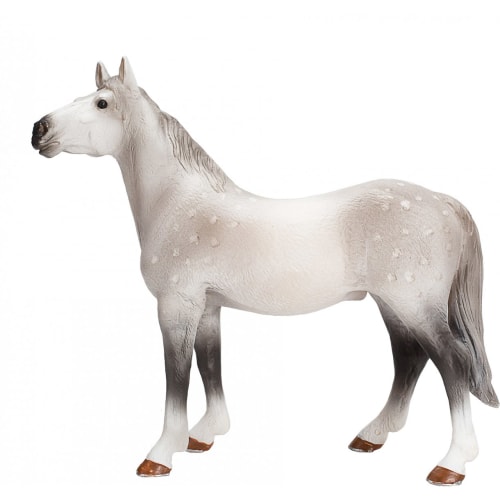 Orlov Trotter Hest