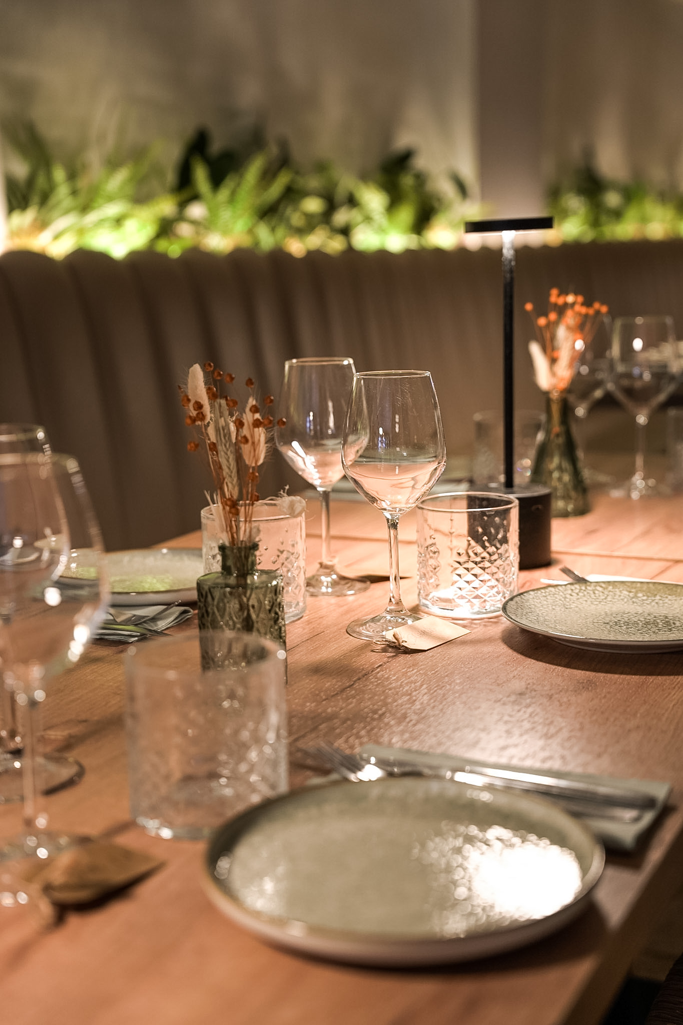 ENV - Table - Plates