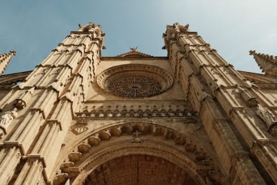 an image of something