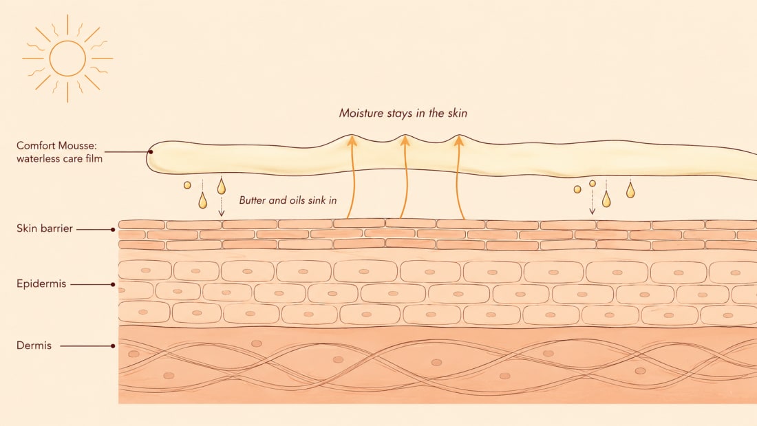 How the water-free Comfort Mousse works with the skin barrier: a nourishing film settles on the skin, butter and oil absorb, and moisture stays in the skin.