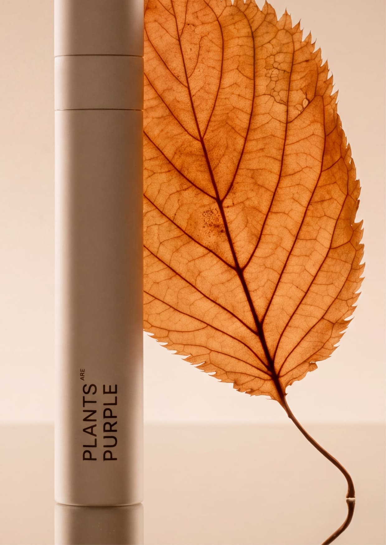 Miracle Mascara next to an orange autumn leaf