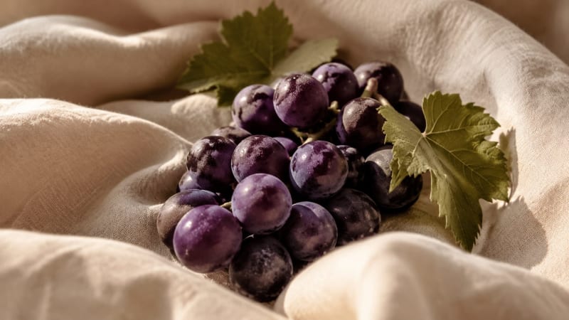 Resveratrol