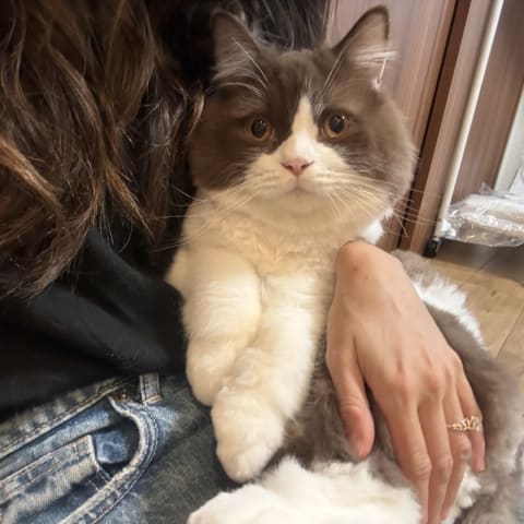 店舗の写真
