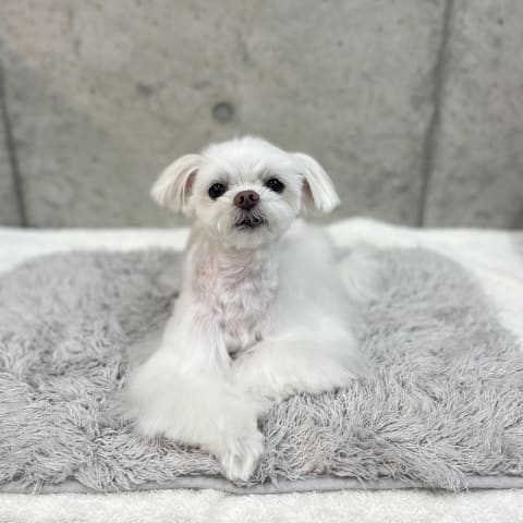 店舗の写真