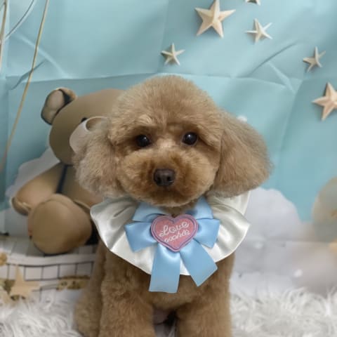 店舗の写真