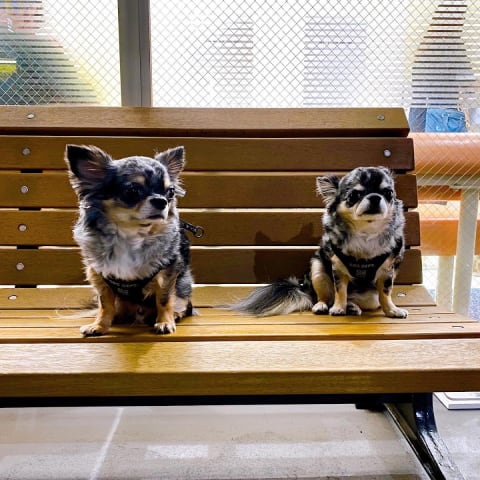 店舗の写真