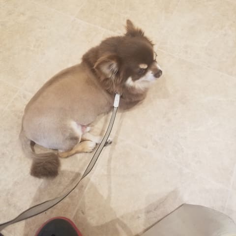 店舗の写真