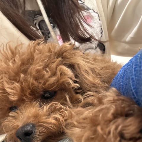 店舗の写真