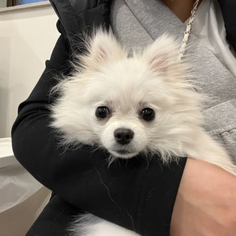 店舗の写真