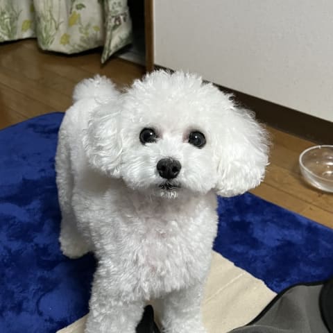 店舗の写真