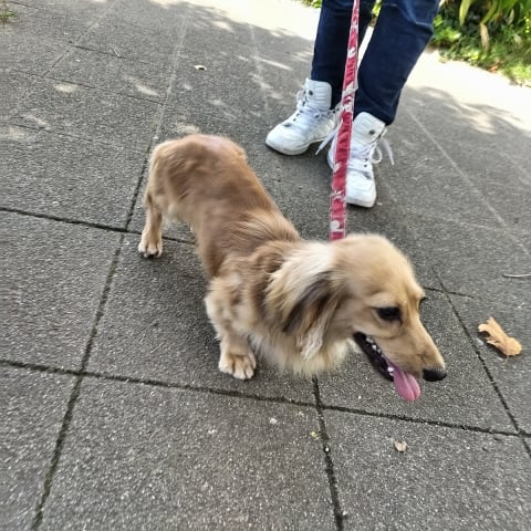 店舗の写真