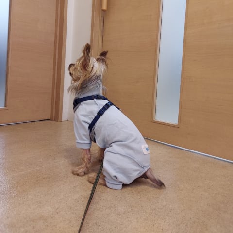 店舗の写真