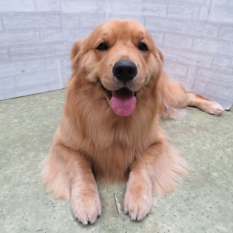 店舗の写真