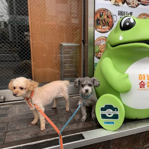 店舗の写真