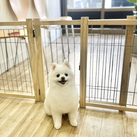店舗の写真