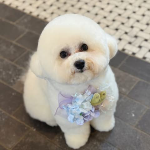 店舗の写真