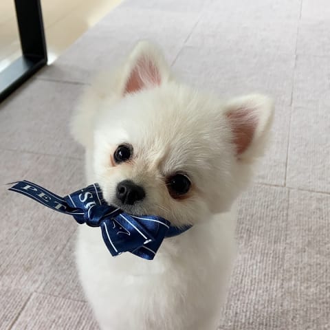 店舗の写真