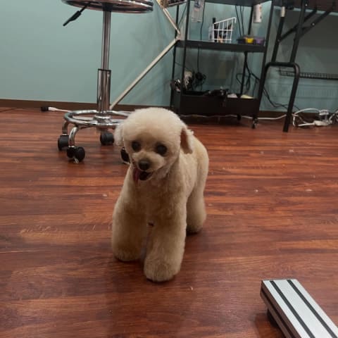 店舗の写真