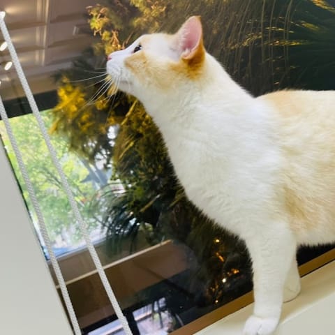 店舗の写真