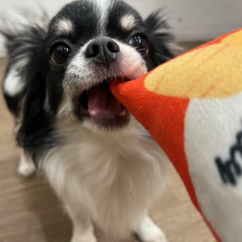 店舗の写真