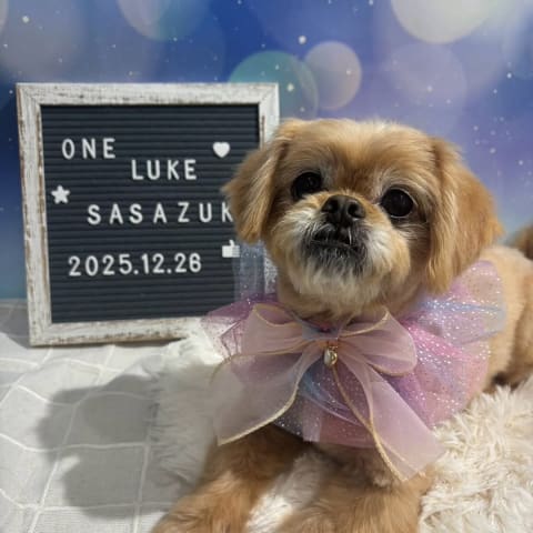 店舗の写真