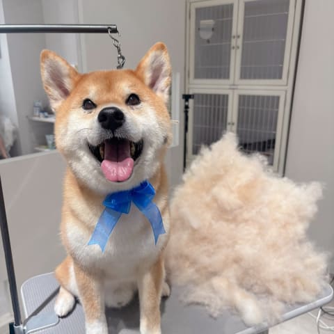 店舗の写真
