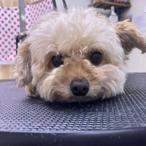 店舗の写真