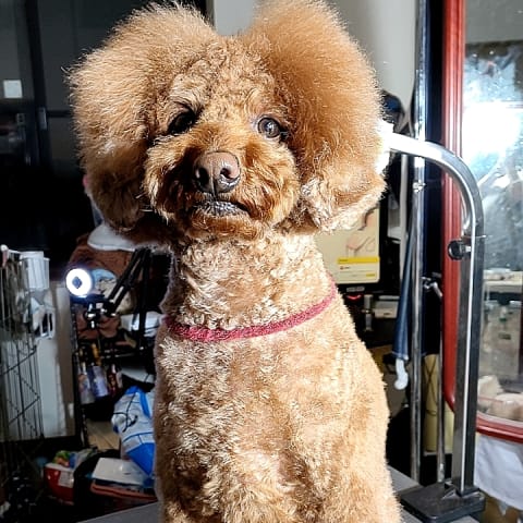 店舗の写真