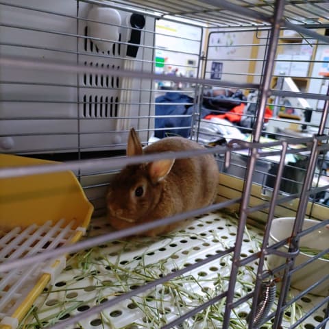 店舗の写真